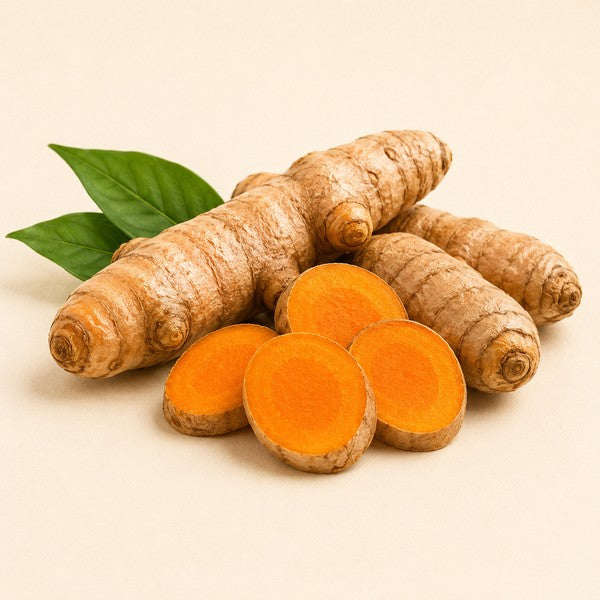 Organic Turmeric Root